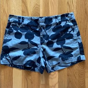 Ann Taylor LOFT Shorts